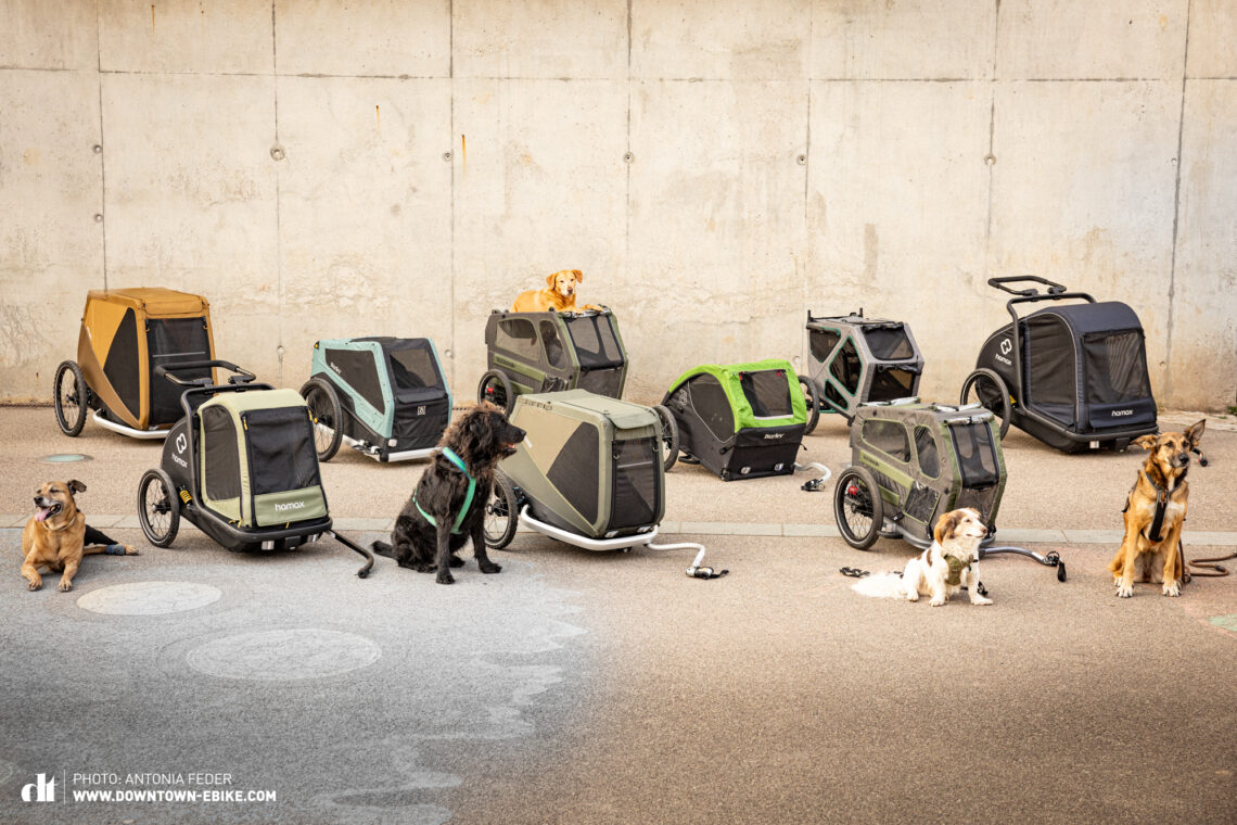 Here you can see the 9 bicycle dog trailers from our comparison test, including all test dogs. They are all biking with dog trailer. 