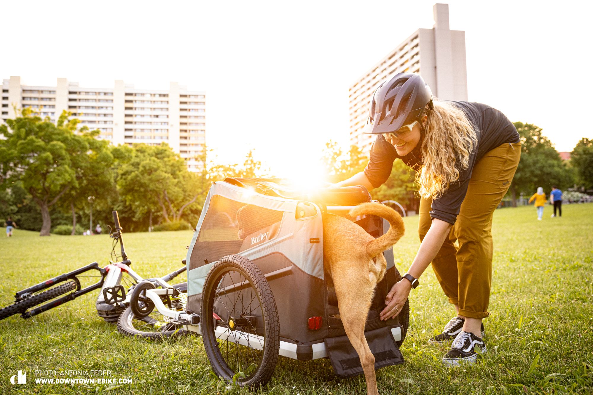 Antonia is successful. Her dog Leo dutifully goes into the back of the dog trailer. You are standing on the meadow in the Leonberger Stadtpark, here are high-rise buildings in the background and the sun is setting.