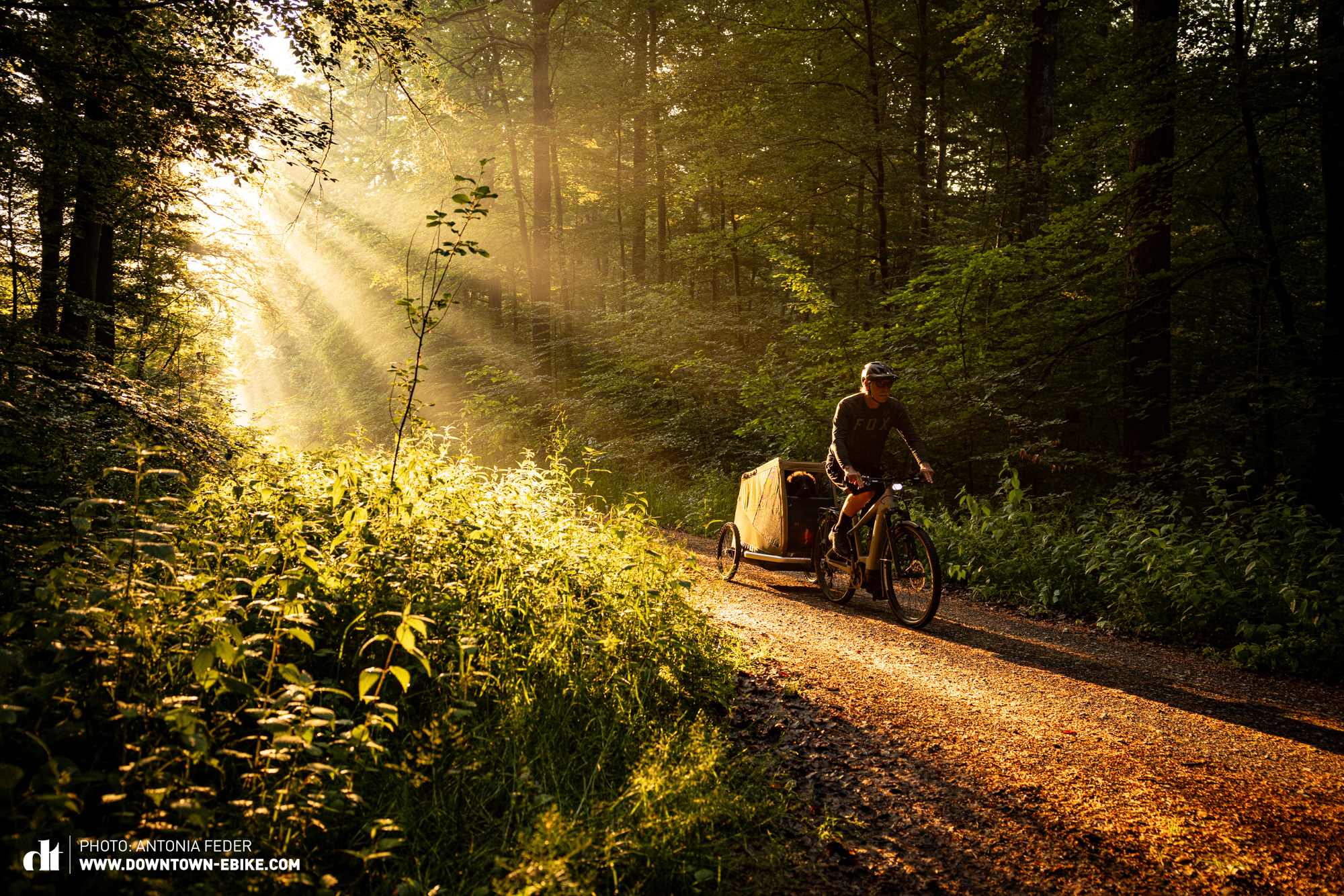 Manne fährt hier bei Abendlicht durch den Wald mit dem Fahrrad-Hundeanhänger.